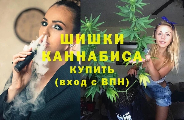 прущие грибы Беломорск