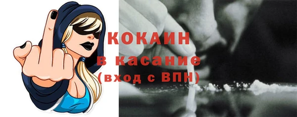 прущие грибы Беломорск