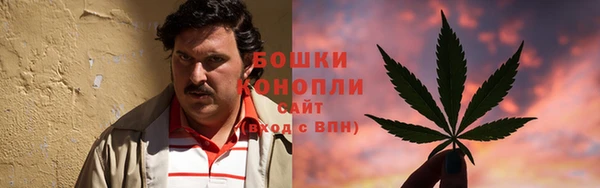 винт Белокуриха
