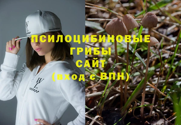 прущие грибы Беломорск