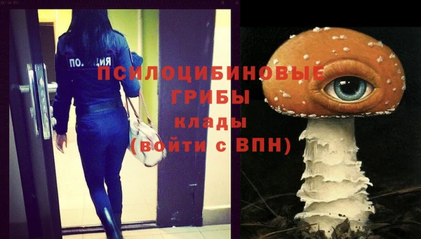 винт Белокуриха