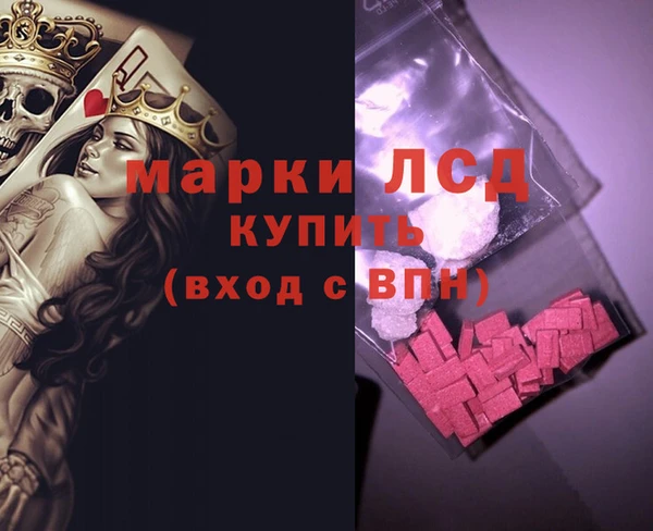прущие грибы Беломорск