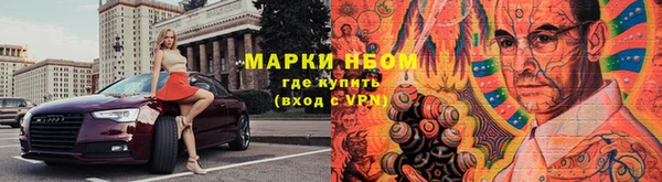 прущие грибы Беломорск