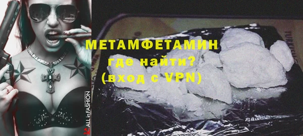 прущие грибы Беломорск
